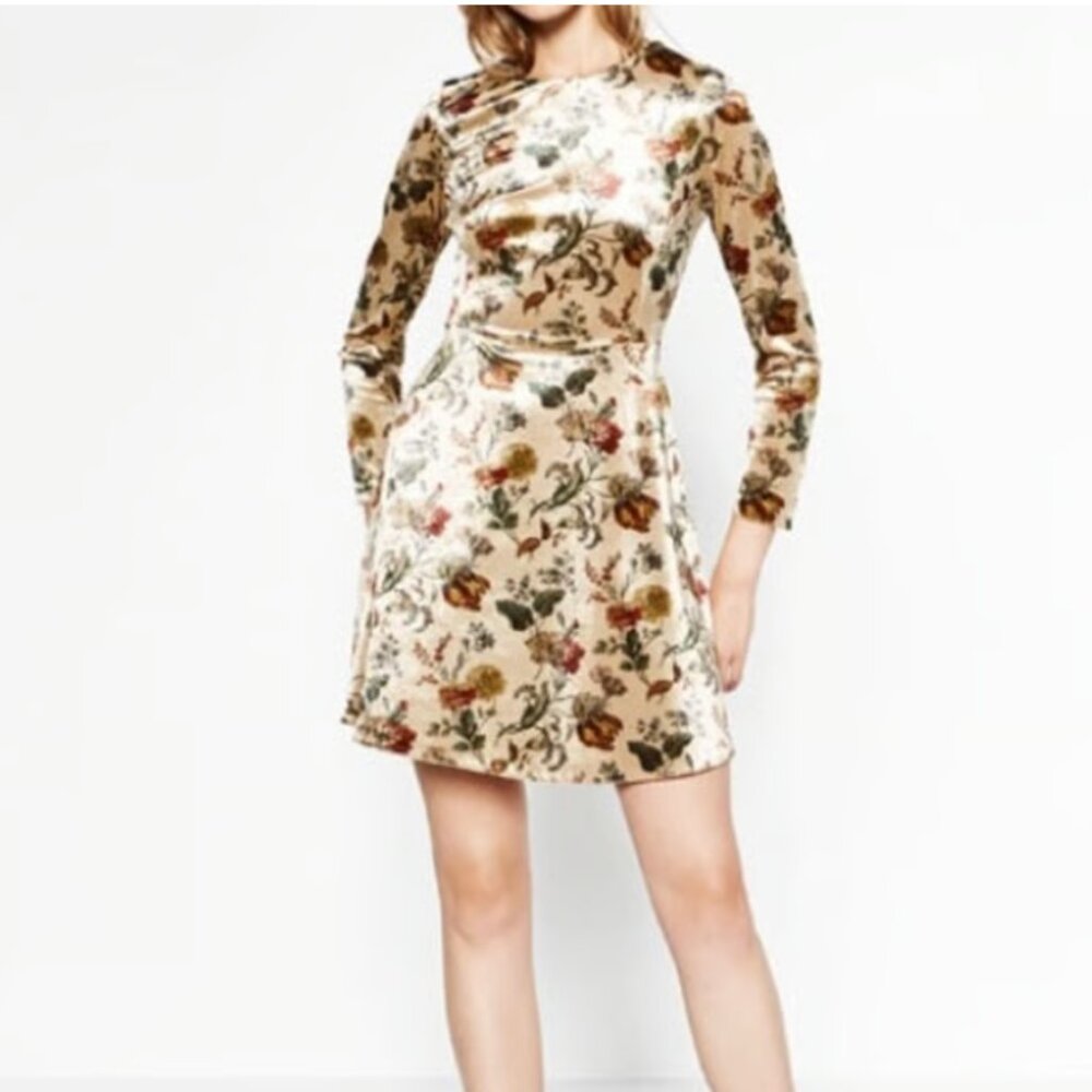 beautiful velvet dress